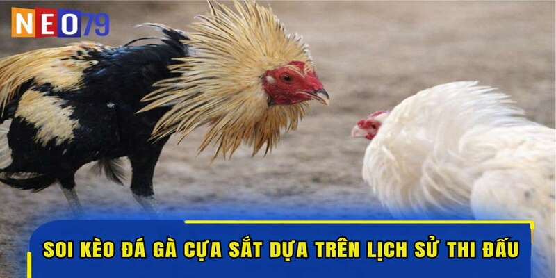 Soi kèo đá gà cựa sắt dựa trên lịch sử thi đấu