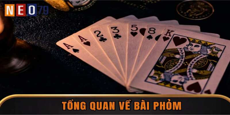 Tổng quan về bài phỏm