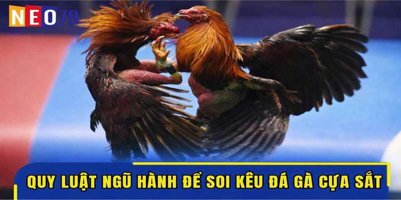 Vận dụng quy luật ngũ hành để soi kèo đá gà cựa sắt
