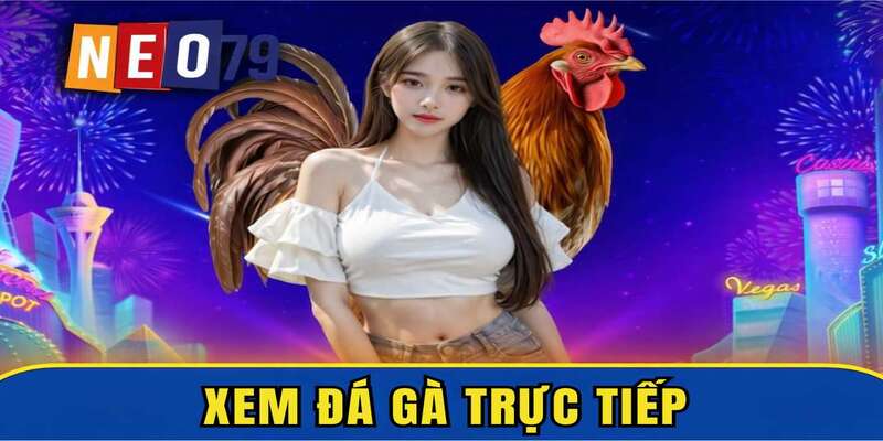 Xem Đá Gà Trực Tiếp – Trải Nghiệm Đỉnh Cao Tại NEO79